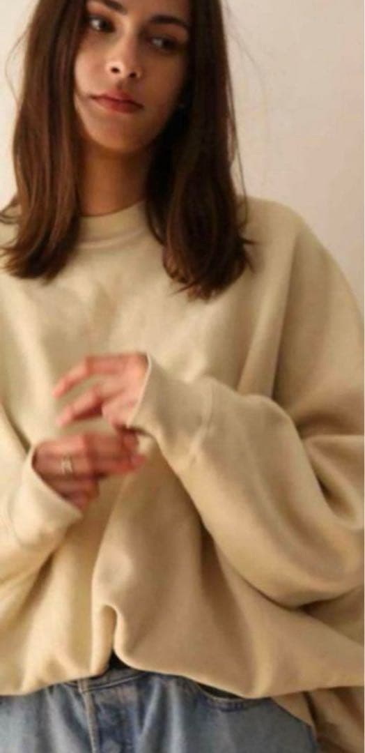 SHISHIKUI Brushed Crew / BEIGE スエット