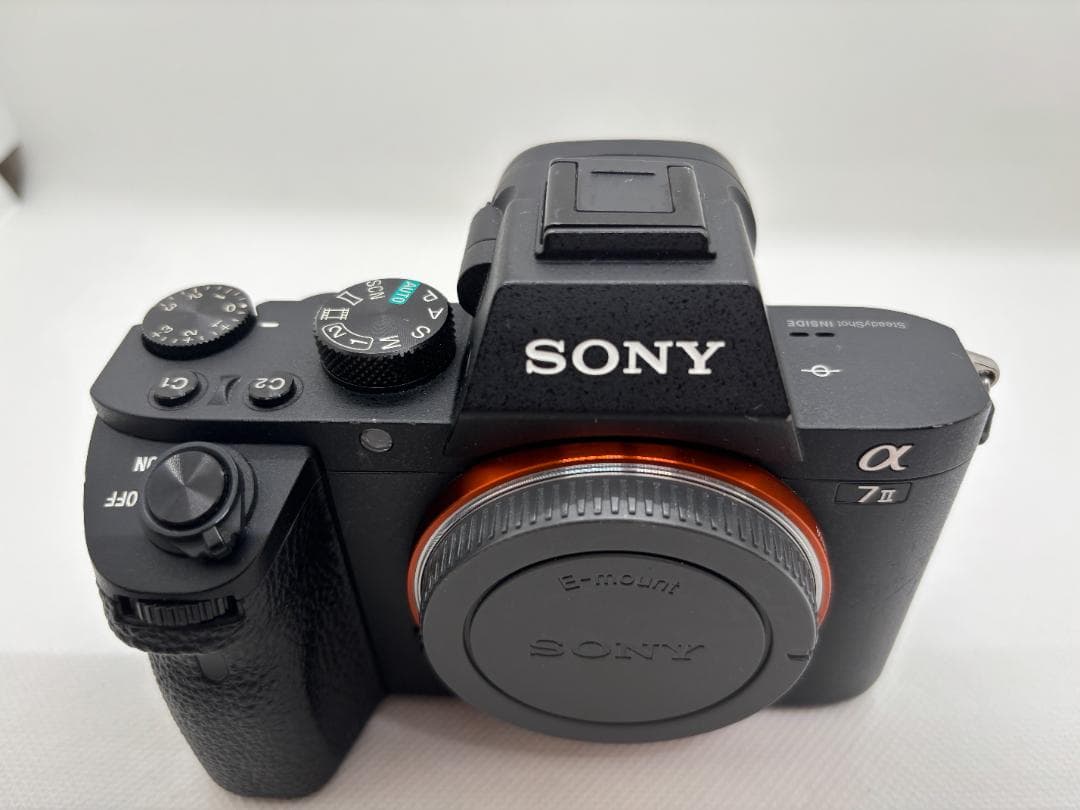 【ngyuen　ショット数：17,766枚】ソニー SONY α7 Ⅱ