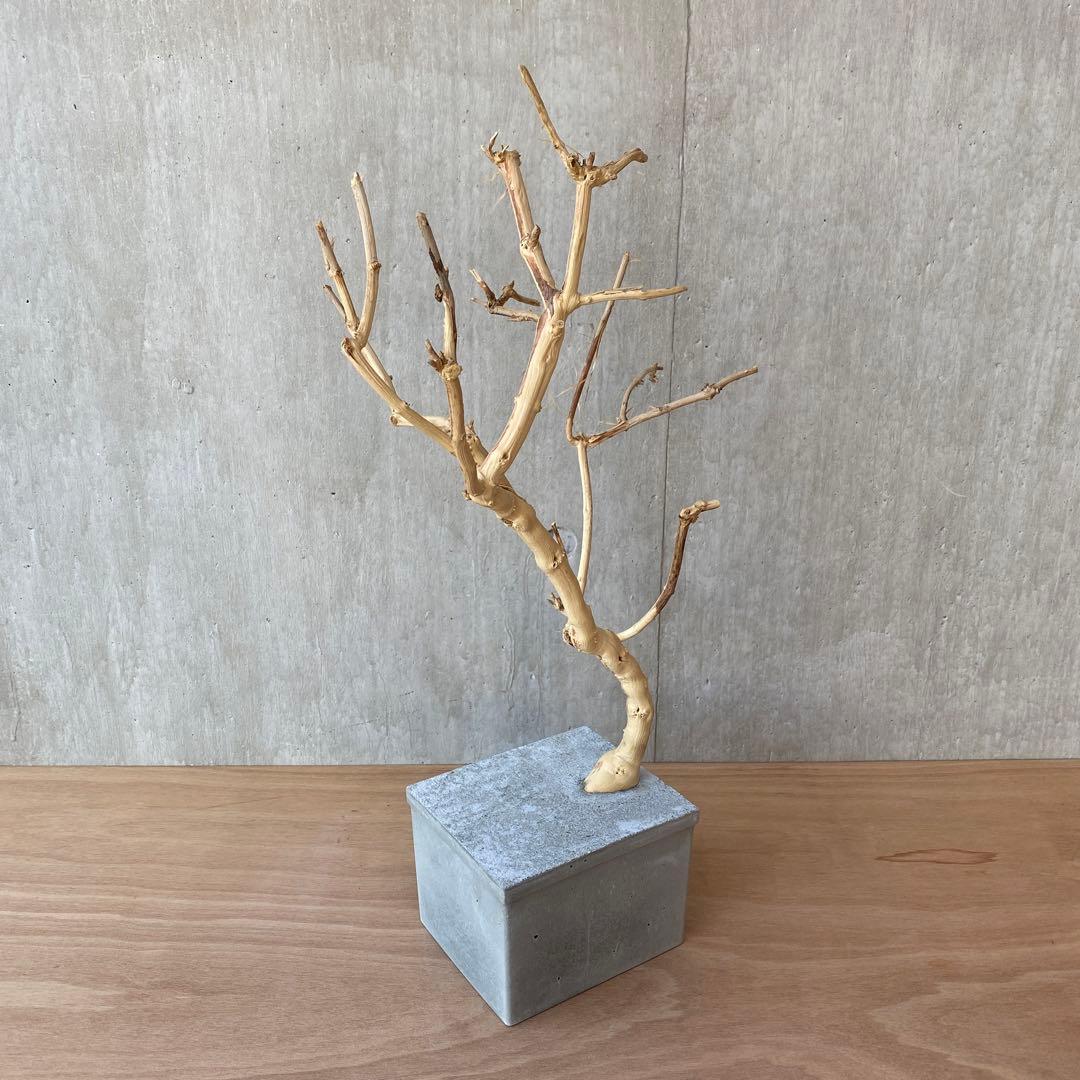 【コンクリート盆栽 流木オブジェ】 アート アクセサリー インテリア 爬虫類