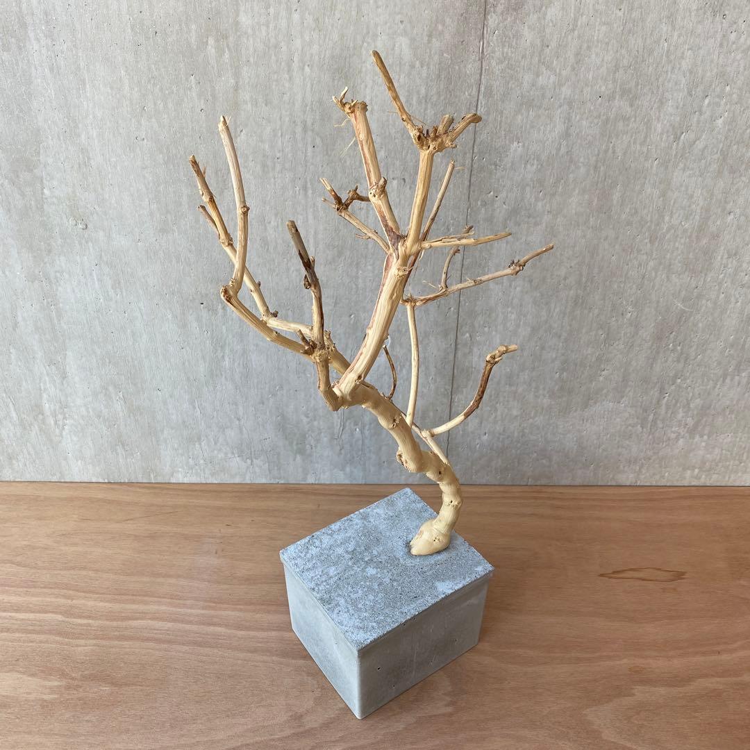 【コンクリート盆栽 流木オブジェ】 アート アクセサリー インテリア 爬虫類