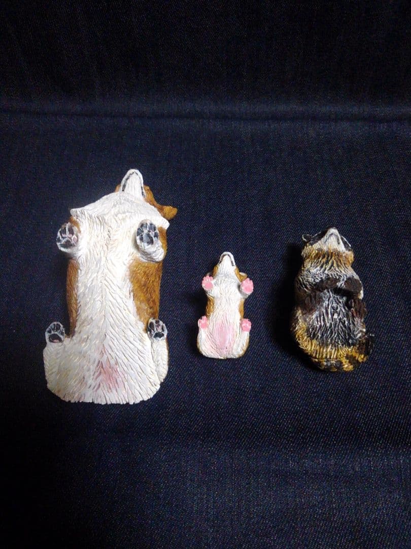 コーギーと森の仲間達