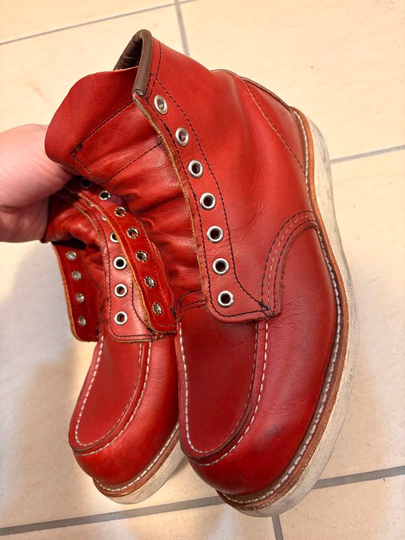 レッドウイング　犬タグ　8875 E 26センチ