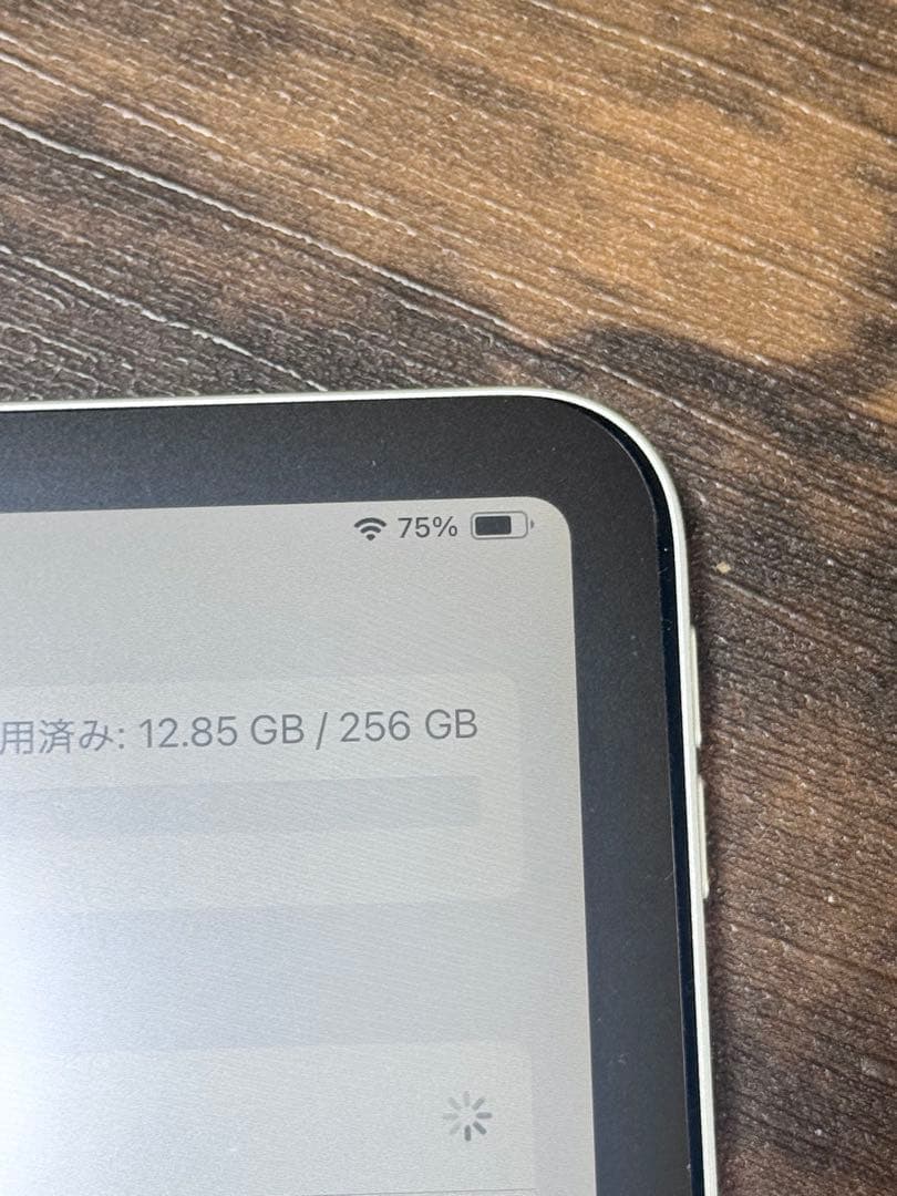 iPad Pro 12.9-inch (4世代) Wi-Fi 256GB