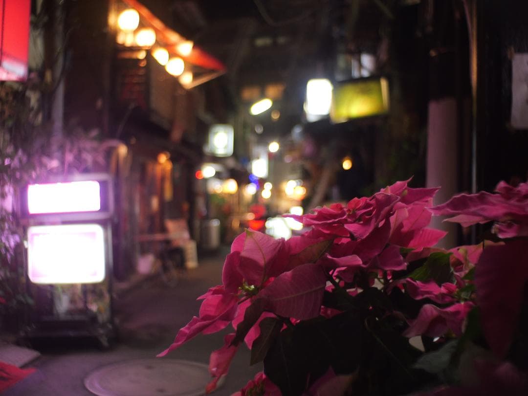 Cマウントシネレンズ　Cine-NIKKOR 単焦点レンズ 1:1.8/13mm