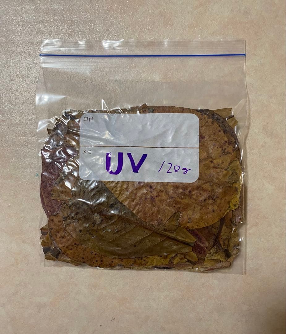沖縄県やんばる産マジックリーフ 1kg UV殺菌灯照射済み④