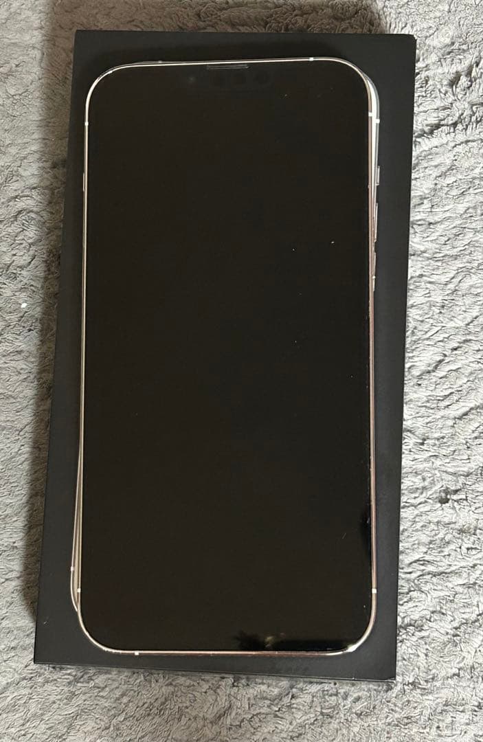 Apple iPhone 13 Pro Maxシルバー 付属品付き