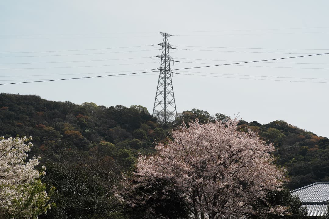 【極美品】Carl Zeiss Planar 85mm F1.4 MMJ 716