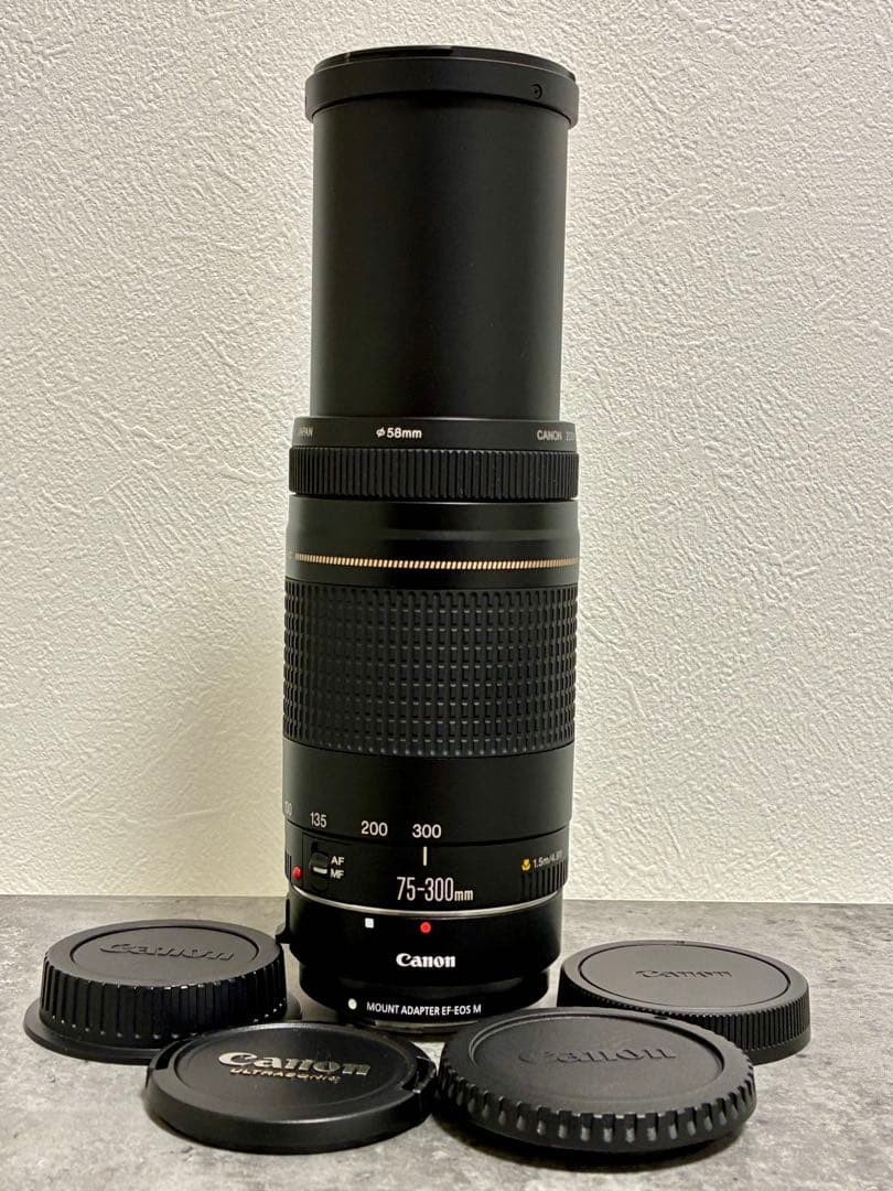 ⭐️美品⭐️Canon EFS 75-300 II & EF-EOS M アダプター