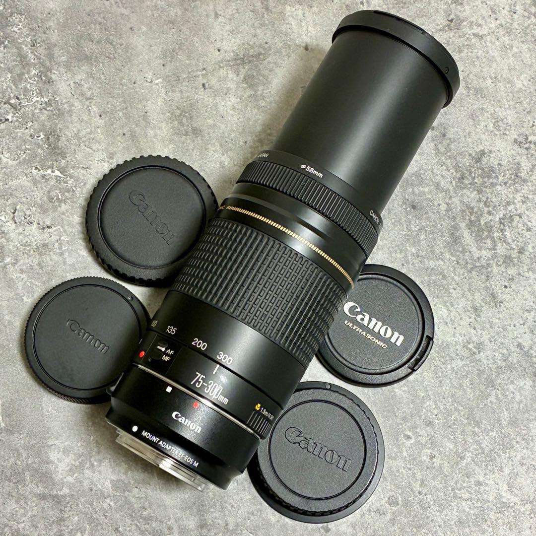 ⭐️美品⭐️Canon EFS 75-300 II & EF-EOS M アダプター