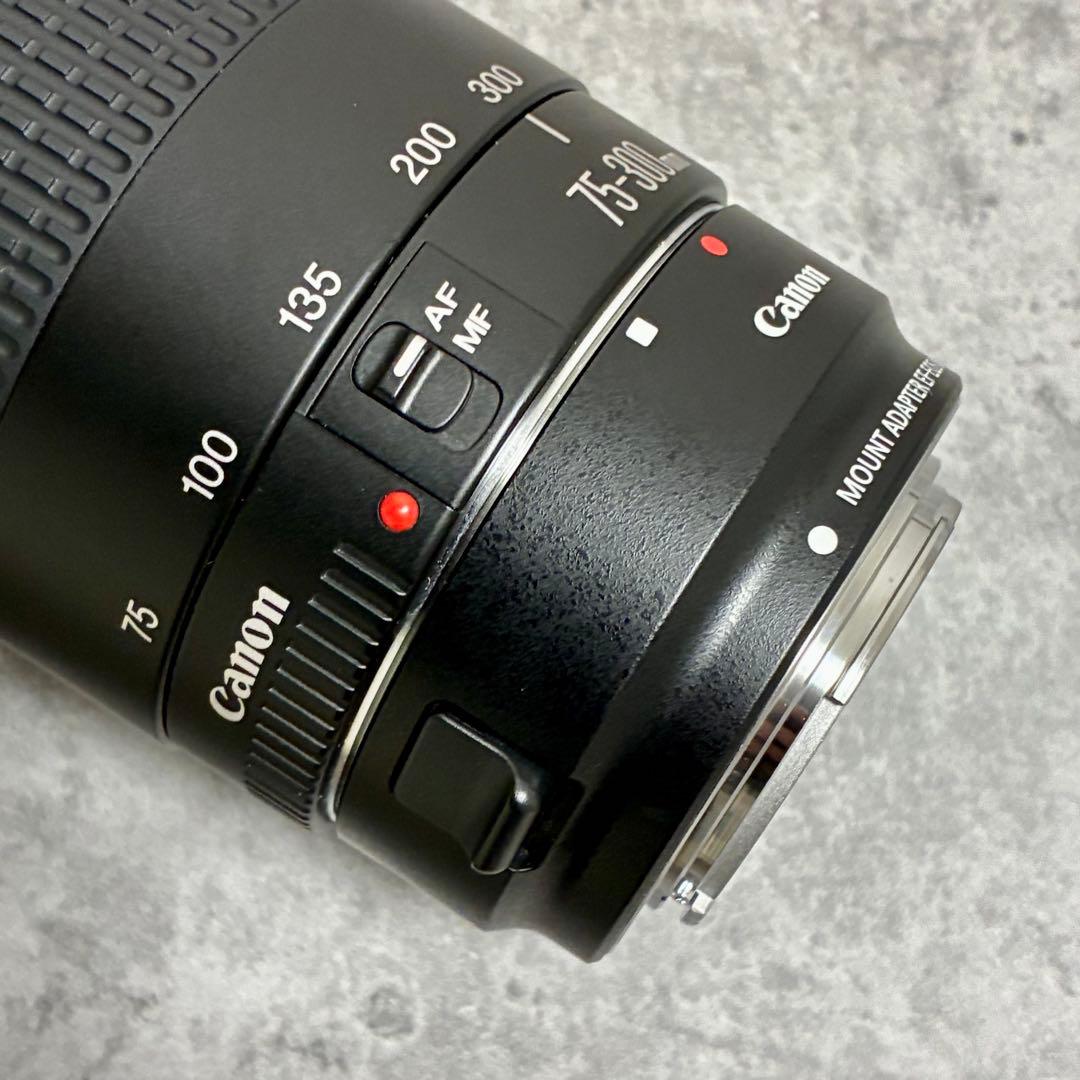 ⭐️美品⭐️Canon EFS 75-300 II & EF-EOS M アダプター