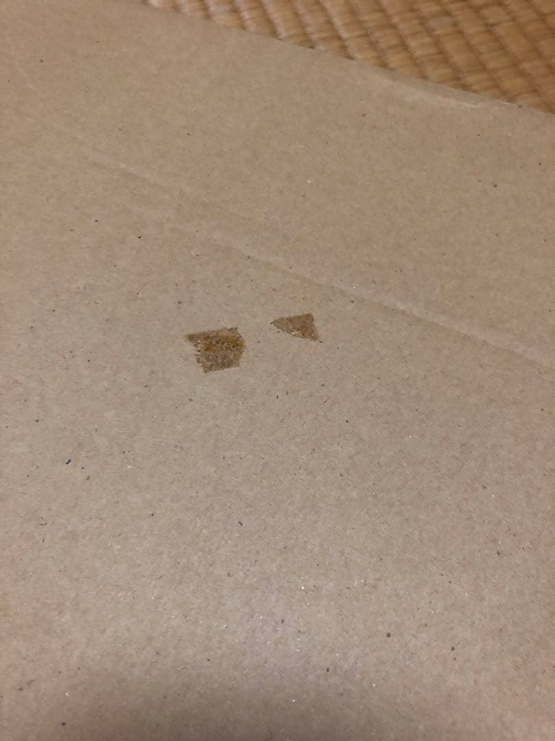 佐野千恵子 白ふくろう 新品未使用