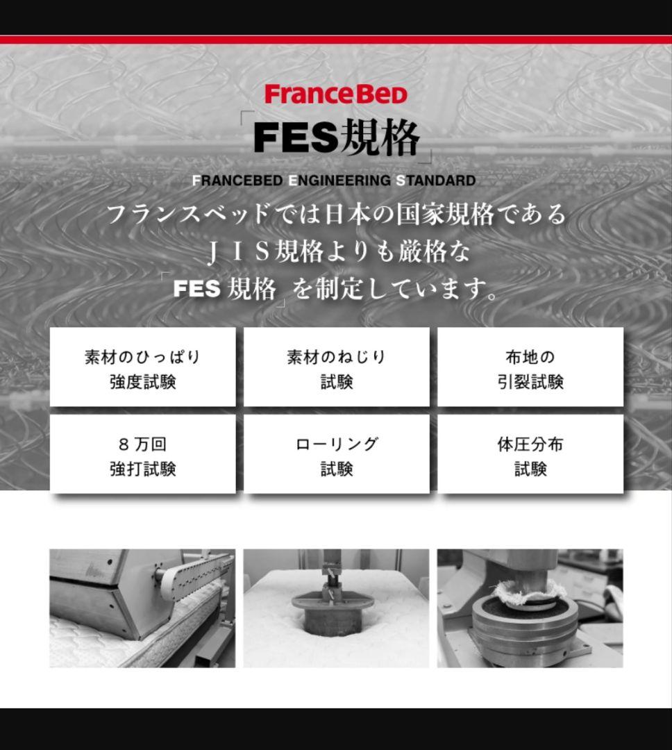 FRANCEBED DL-C103 ベッドフレーム クイーン 取説・保証書有