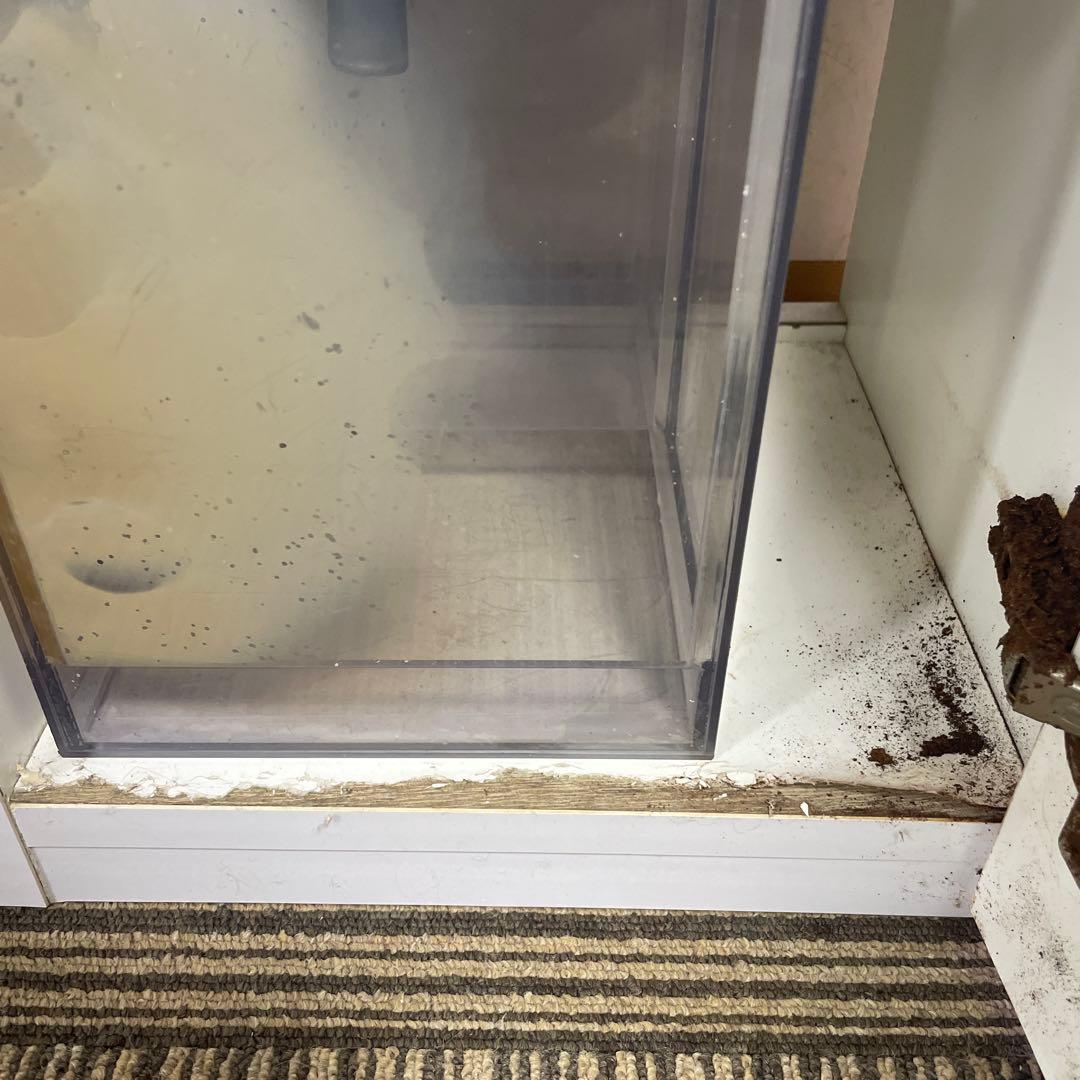 オーバーフロー水槽