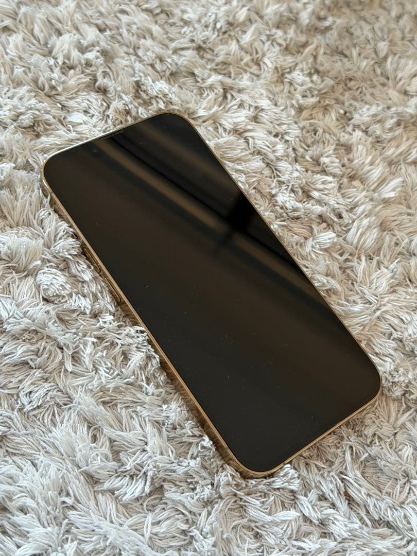 海外版シャッター音なし⭐️iPhone13pro 256GB