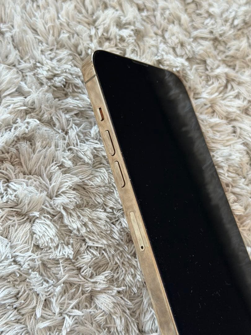 海外版シャッター音なし⭐️iPhone13pro 256GB