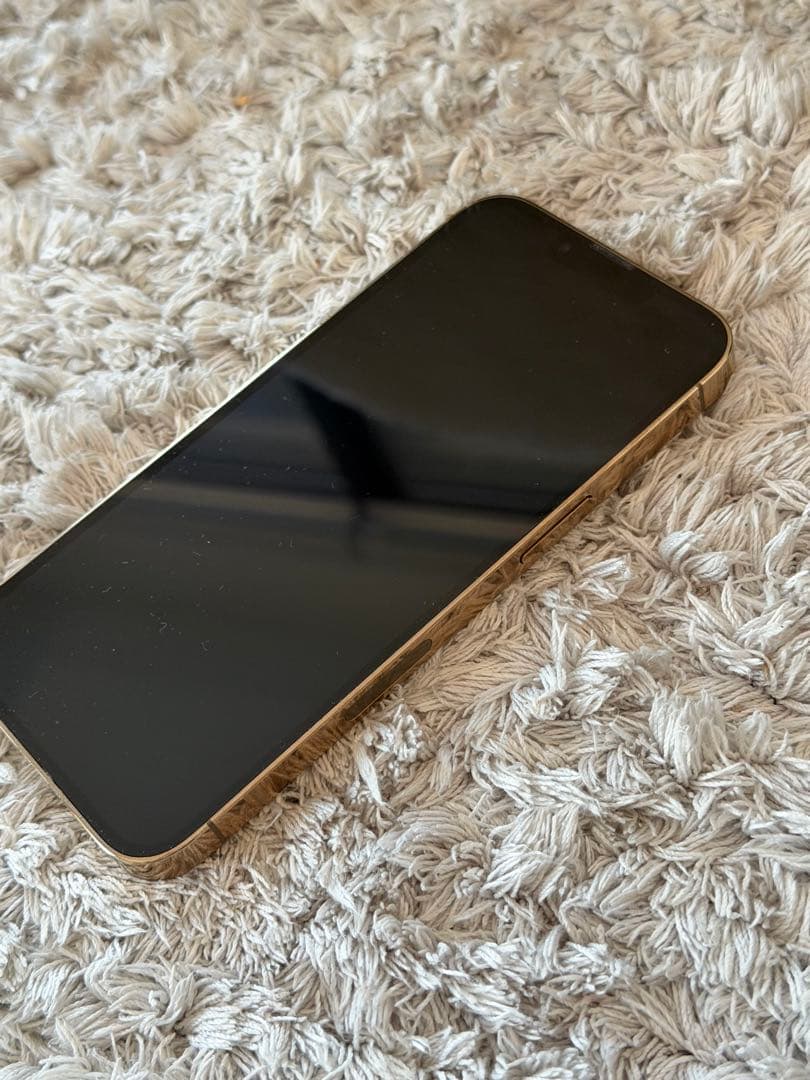 海外版シャッター音なし⭐️iPhone13pro 256GB