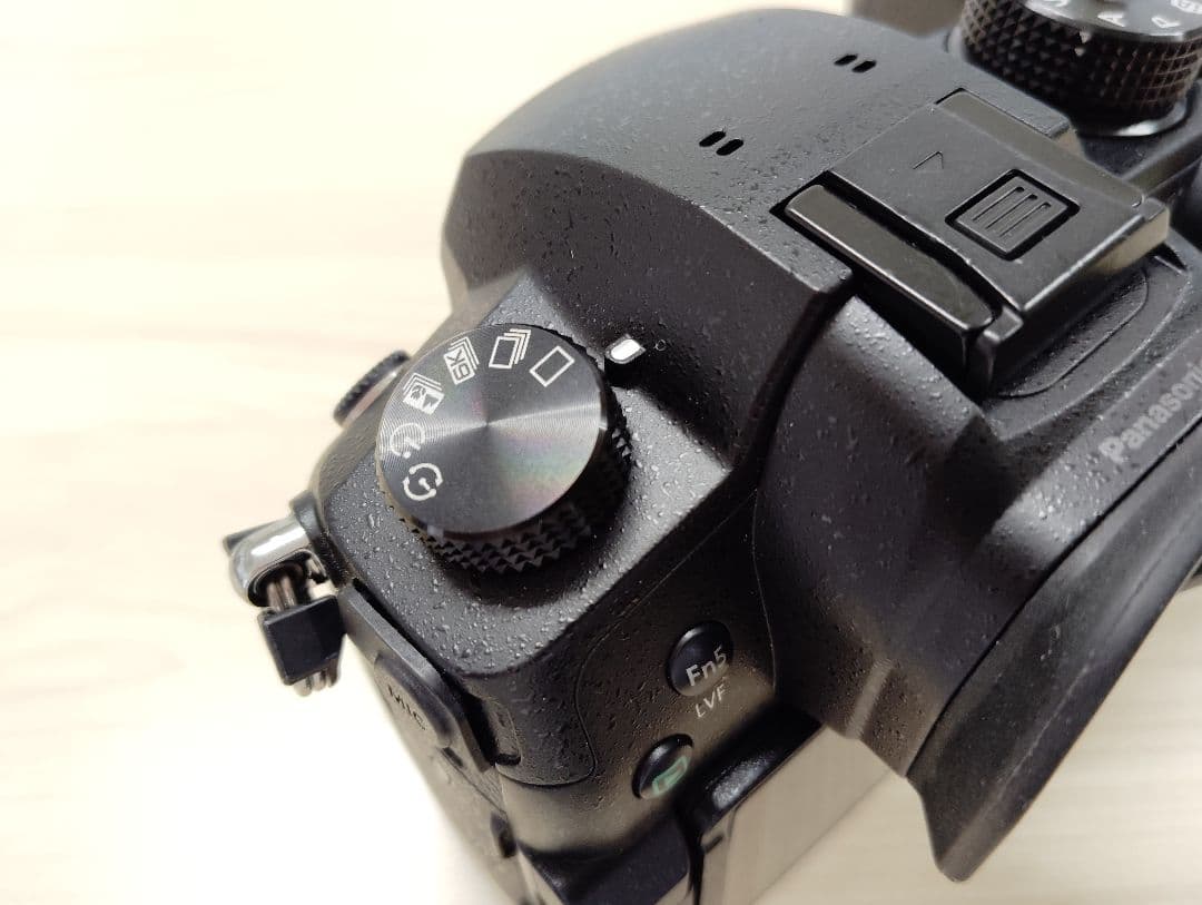 パナソニック LUMIX DC-GH5