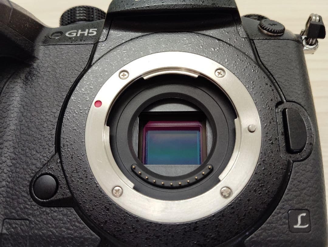 パナソニック LUMIX DC-GH5