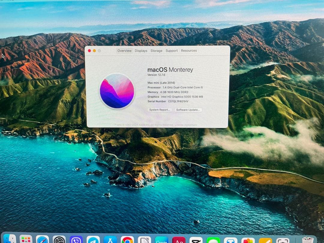 Mac mini セット / 18.5型モニター・カメラ付
