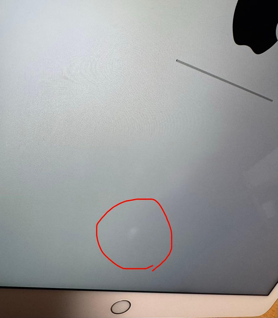 Apple iPad pro ゴールド 本体