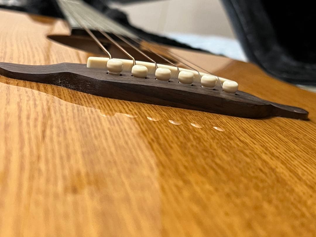 即発送 Luna guitar GYP E ASH DEANのハードケース付き