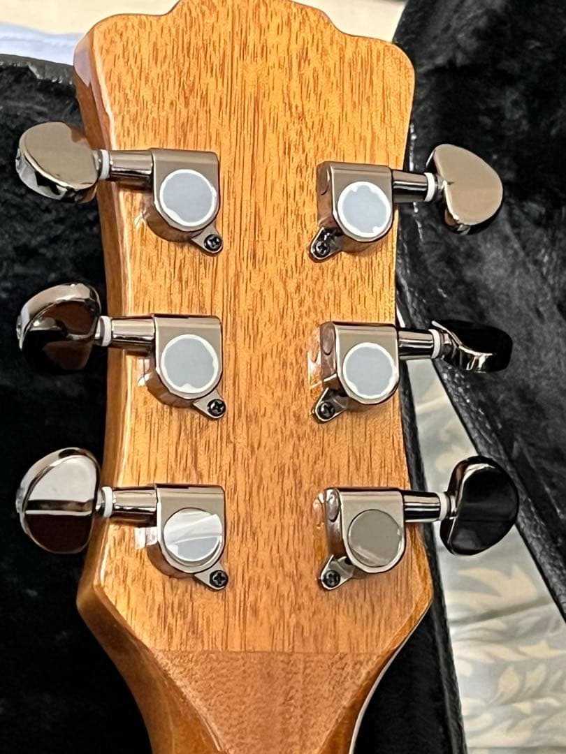 即発送 Luna guitar GYP E ASH DEANのハードケース付き