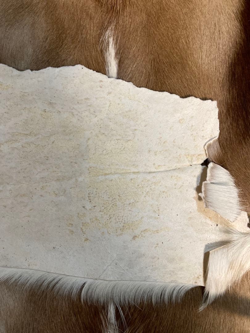 ラグ・カーペット si bubu