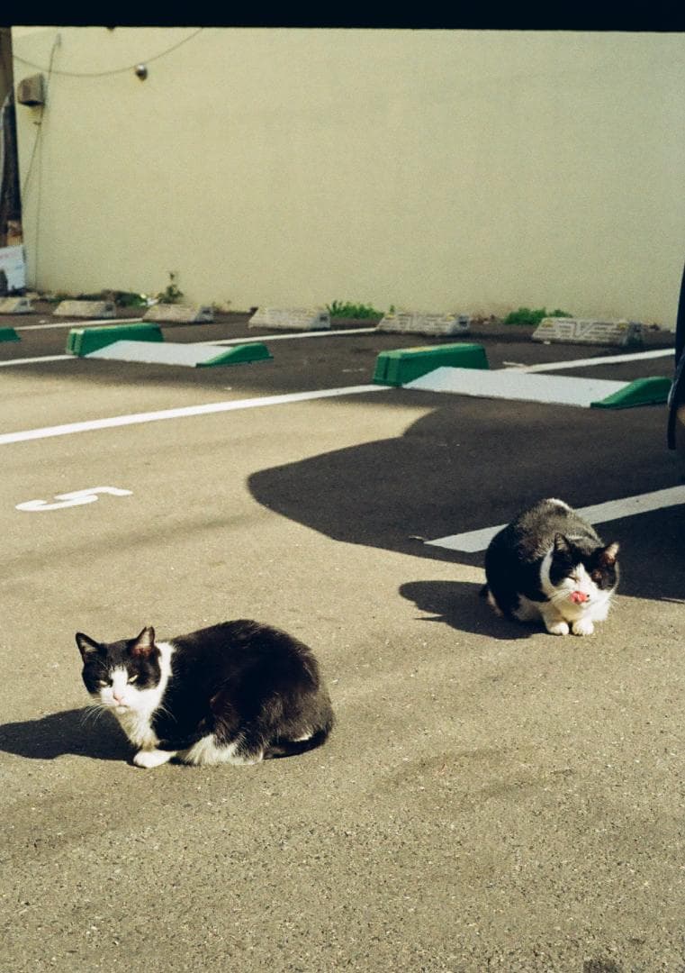 ❀専用品❀PEN　FT✿F1.8✿ペンFT✿本革✿ OLYMPUS✿オリンパス