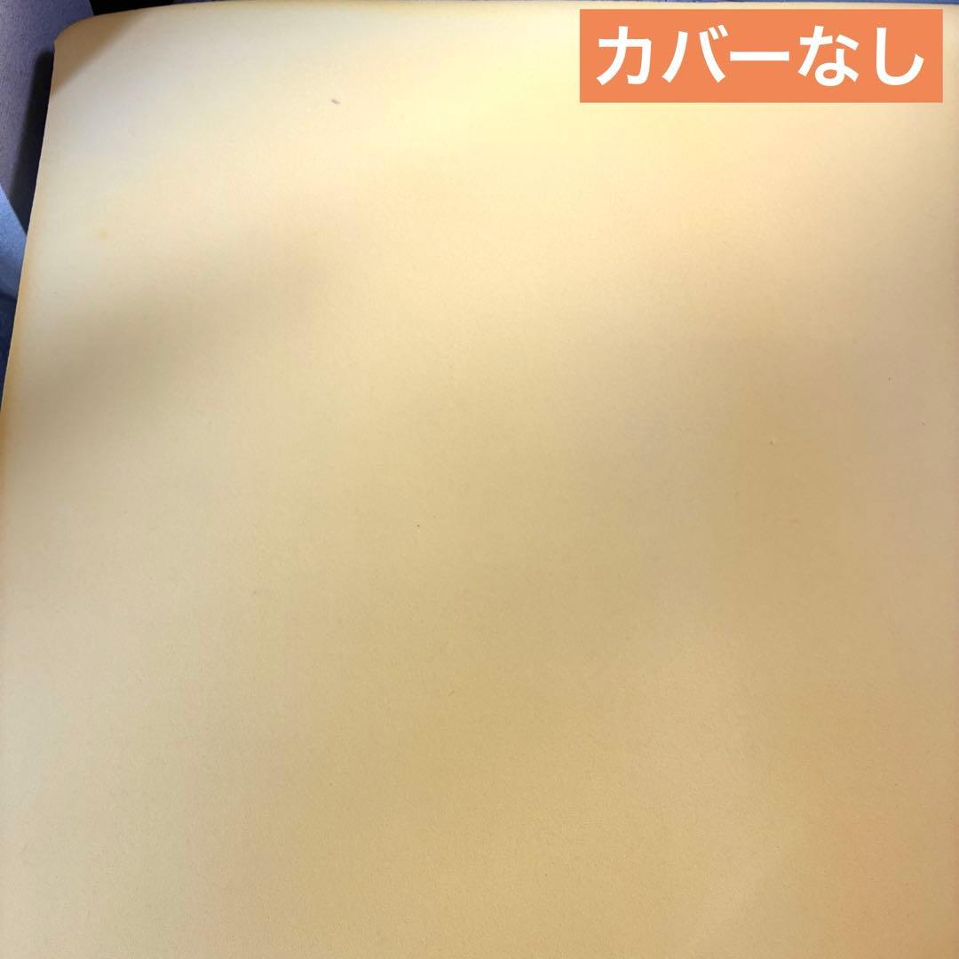 トゥルースリーパー プレミアム マットレス ダブル 5cm 1年使用・へたり極少