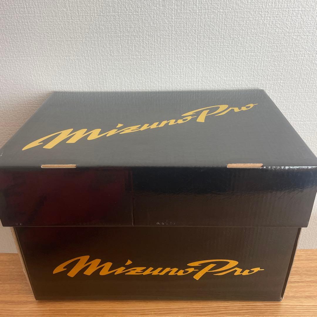 ミズノプロ　硬式用　キャッチャーミット　定価67,100円　B-D　高校野球対応