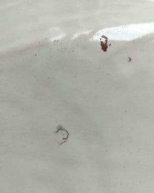 18世紀　ムスティエ 　花リム　オーバル皿　　フランス　アンティーク