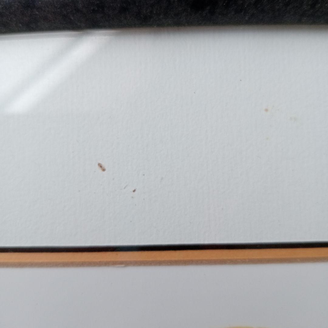 ''Puppy Love''ポストカードの額装