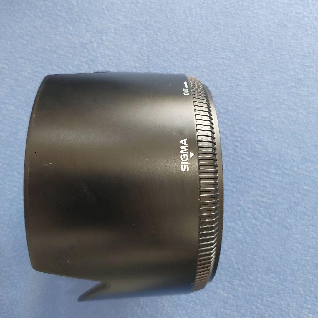 SIGMA 50-500mm F4.5-6.3 DG APO HSM ニコン