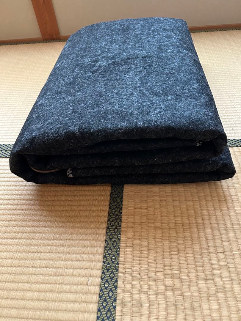 Panasonic DC-3NK 電気カーペットヒーター 本体のみ 2022年製