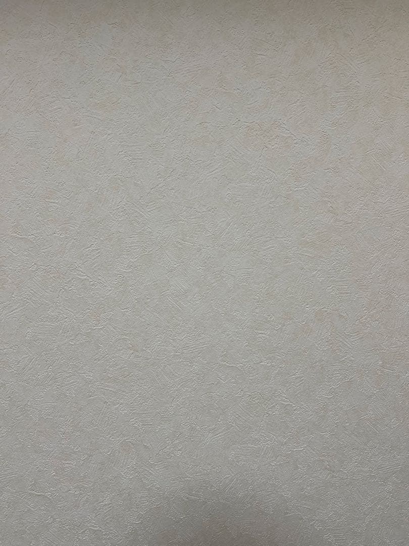 iPhone 13pro 256GB SIMフリー