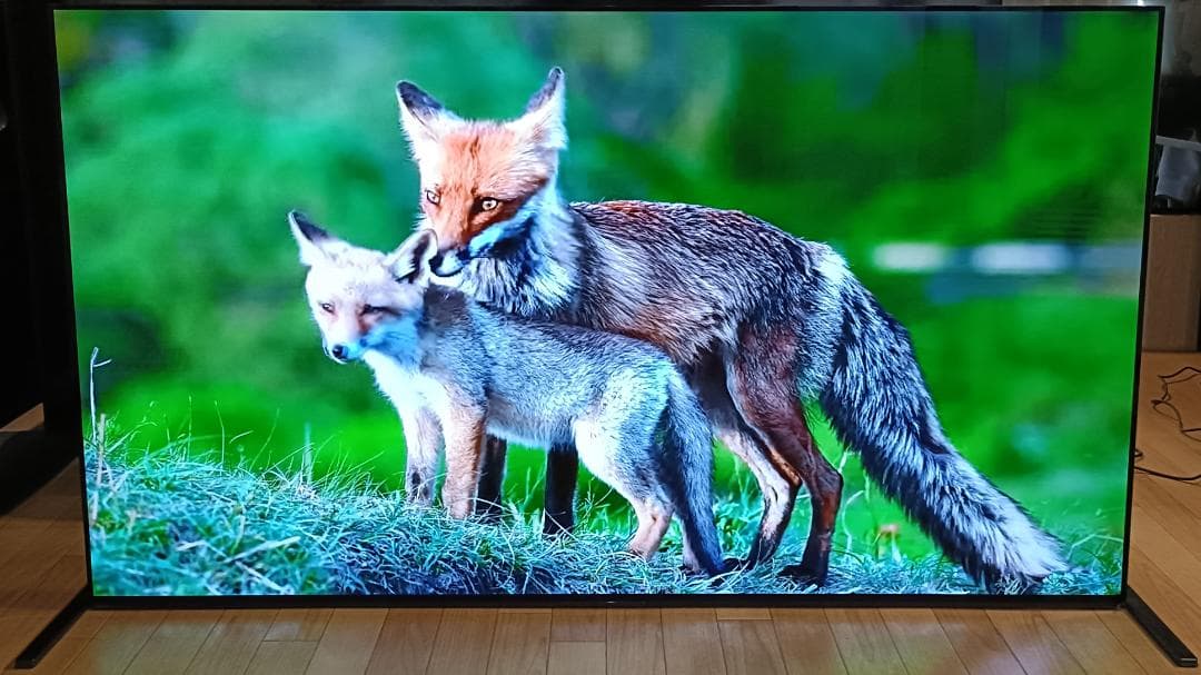 kaminda　美品 21年製65V型 SONY　XRJ-65A90J