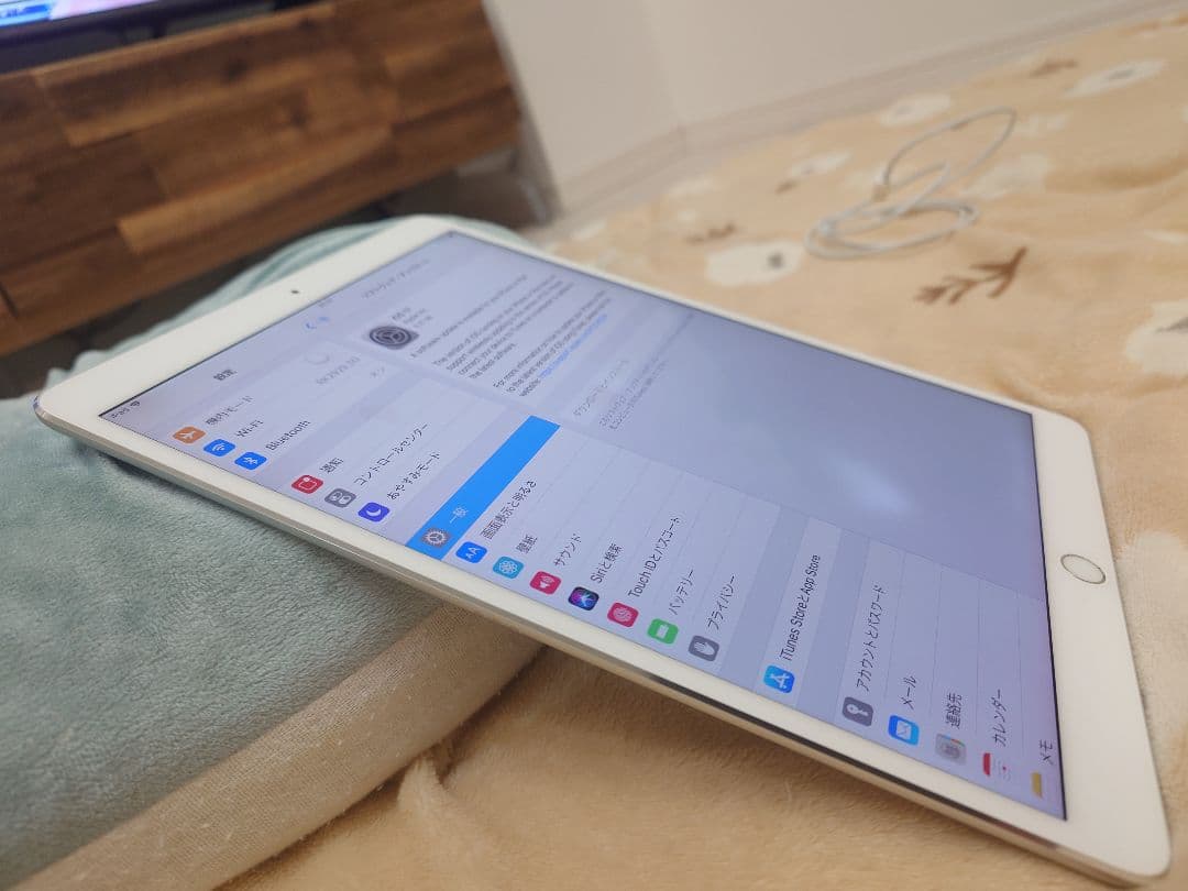 ipadpro 極美品　光漏れ有ります　10.5インチ