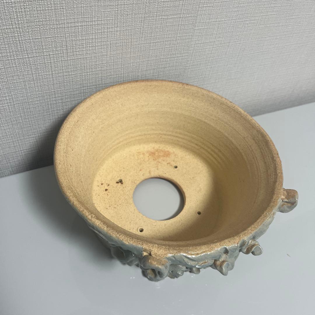 植木鉢　盆栽・塊根植物　シーサー