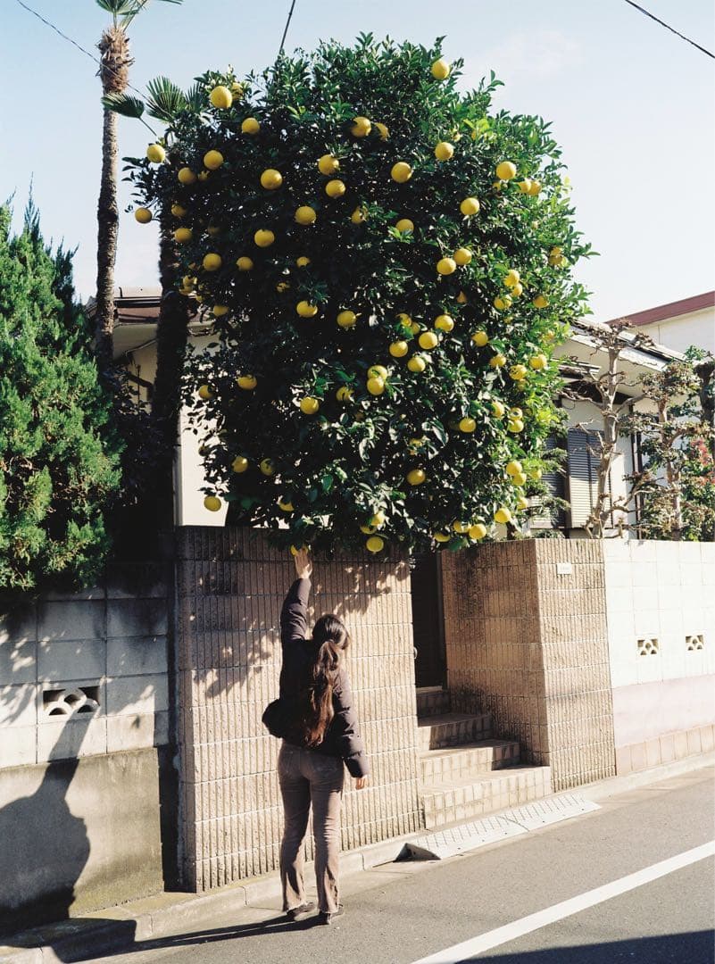 Fujifilm GA645 作例有り