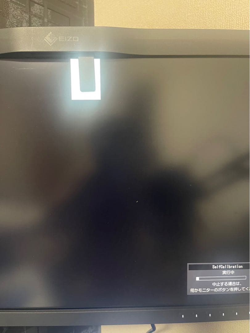 EIZO ColorEdge CG279X モニター 12月迄購入者無しなら削除