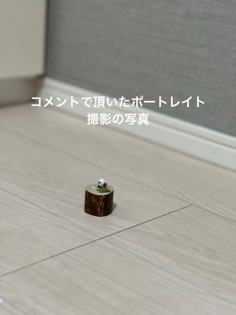 Apple iPhone 13 Pro グラファイト256GB