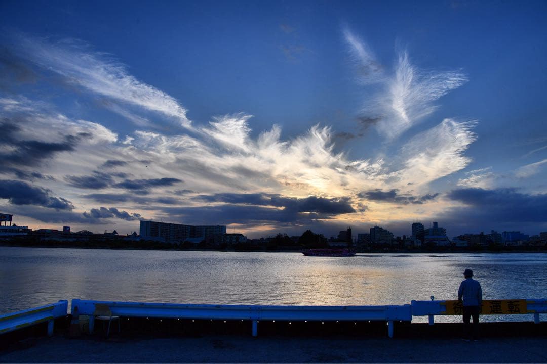 値下げAF-S NIKKOR 24-85mm f/3.5-4.5G ED VR