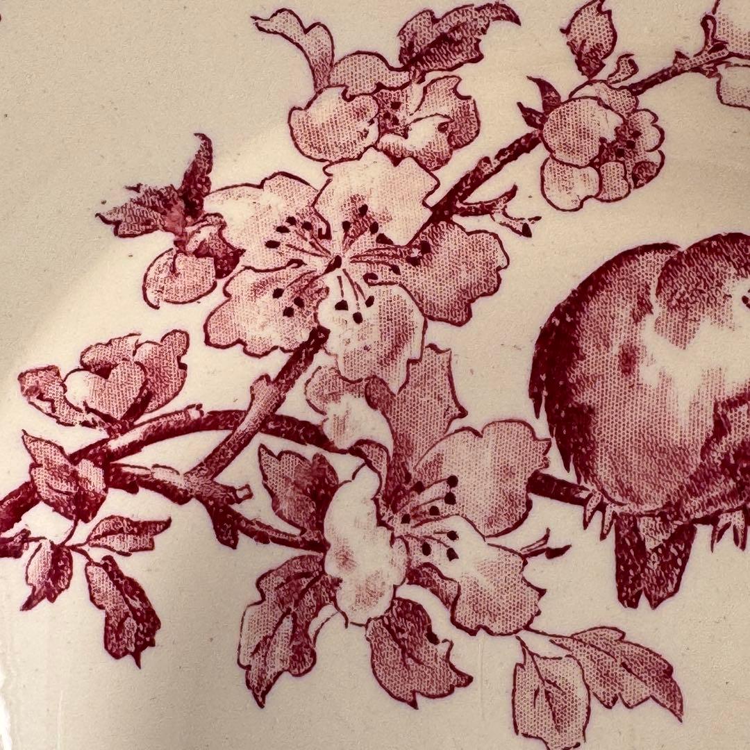 美品　フランスアンティーク　サルグミンヌ　Favori スーププレート