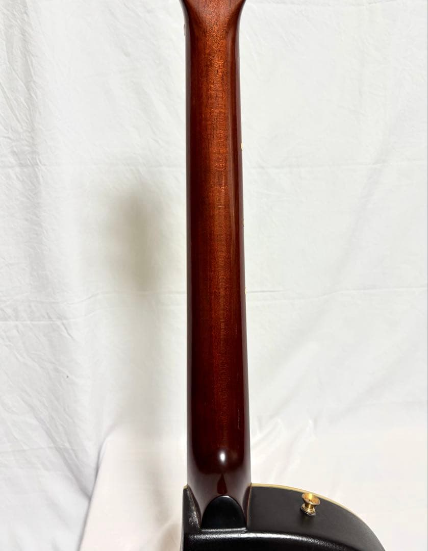 【新品弦張替済】Morris エレアコ TC-1 CUS