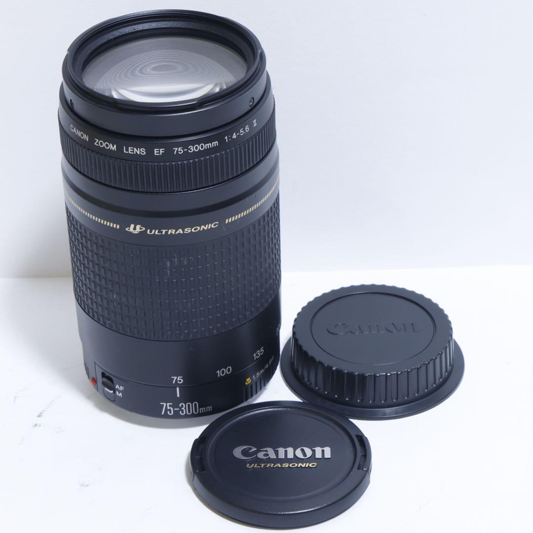◇ Kogoro-5565 ◇Canon純正 75-300mm II型 超望遠◇