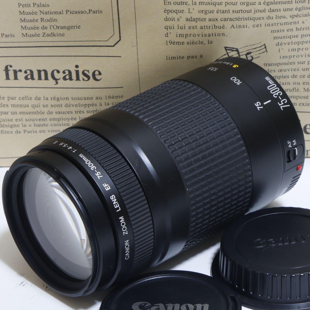 ◇大迫力超望遠◇ Canon純正 75-300mm II型 超望遠レンズ!!◇