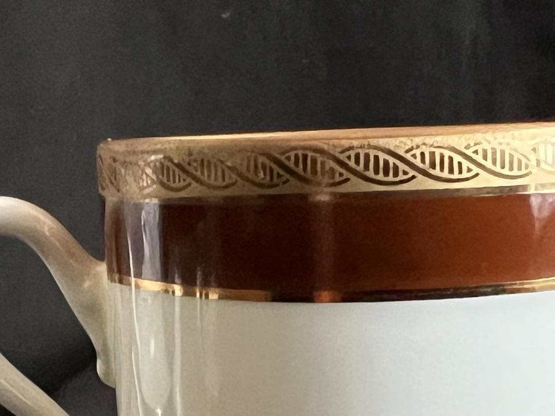 リチャードジノリ　パレルモブラウン　コーヒーセット