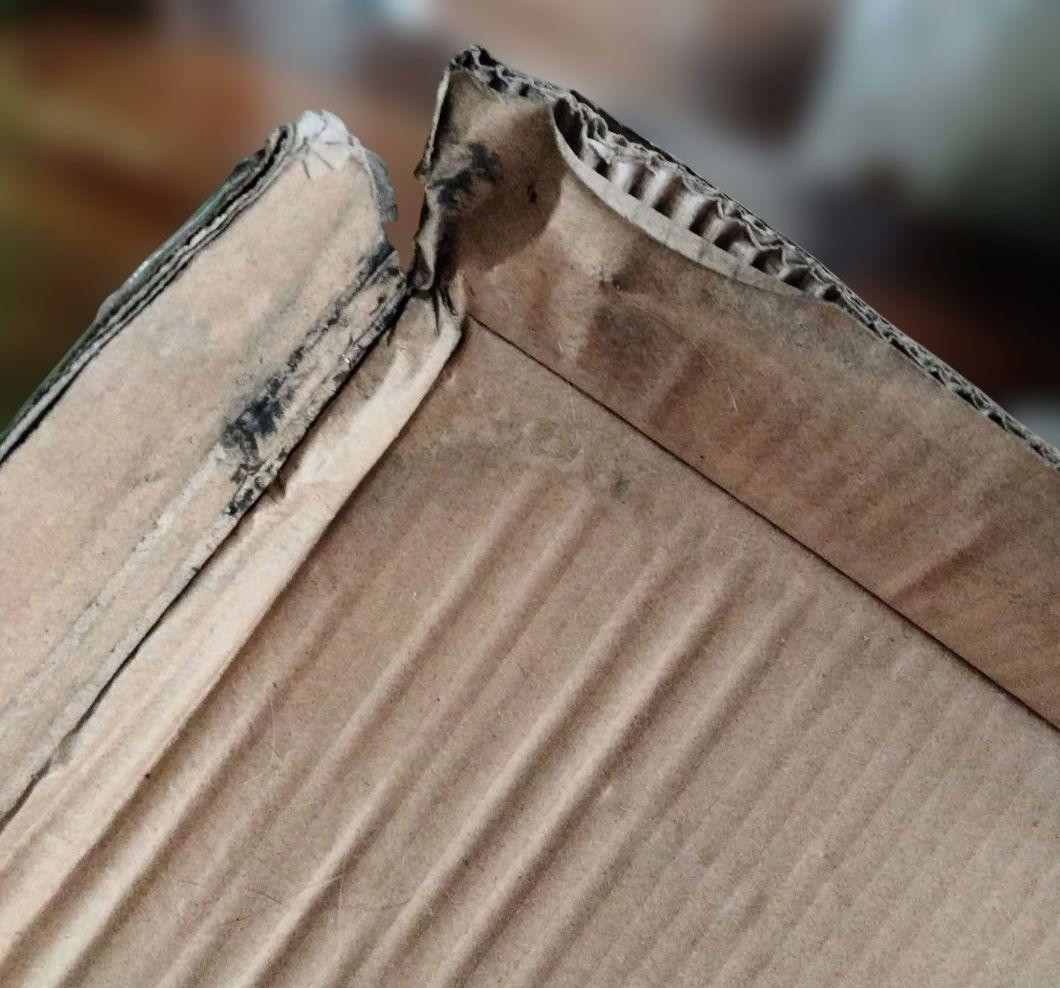 特別価格!ねこ脱走防止フェンスPETSELECTのぼれんニャン未使用(外箱汚れ)