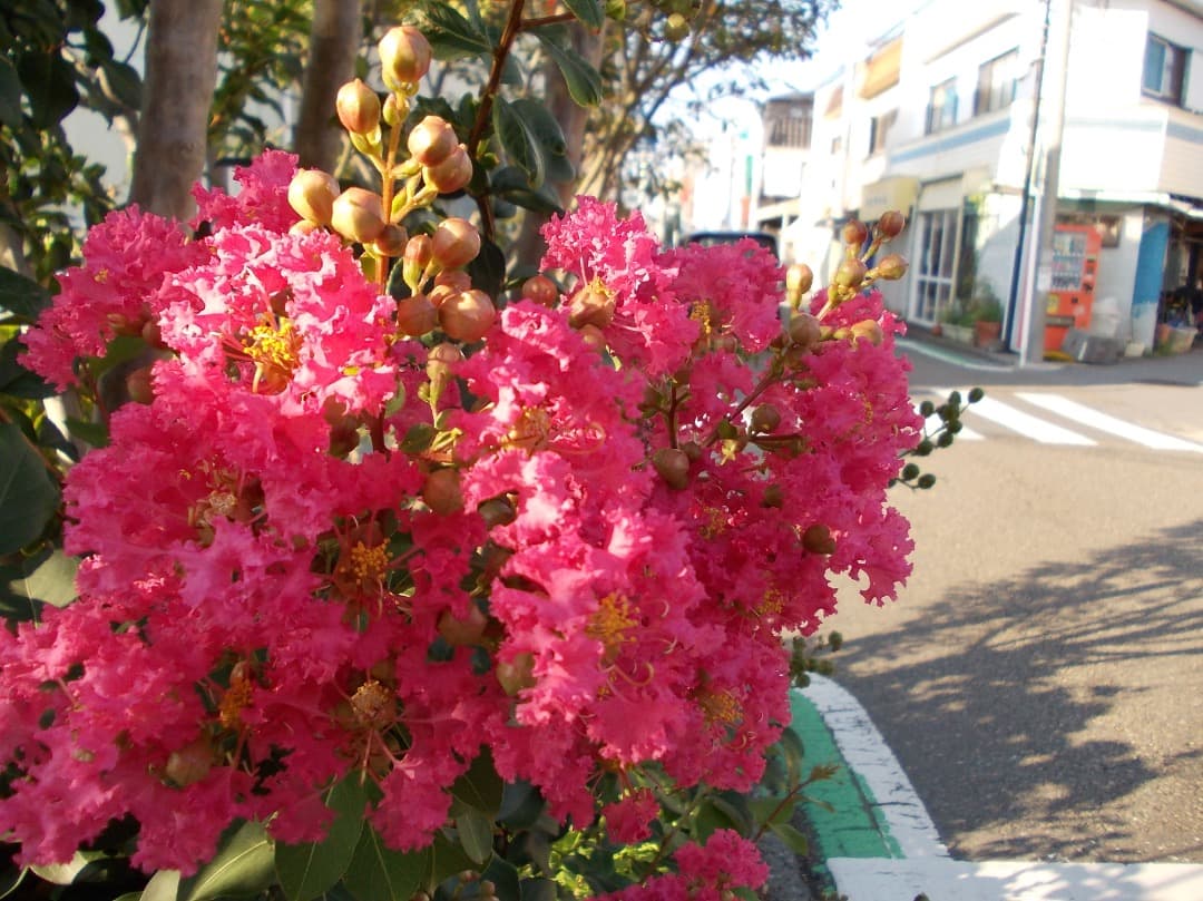 SDカード、リーダー付【動作確認済】Nikon COOLPIX L23 シルバー