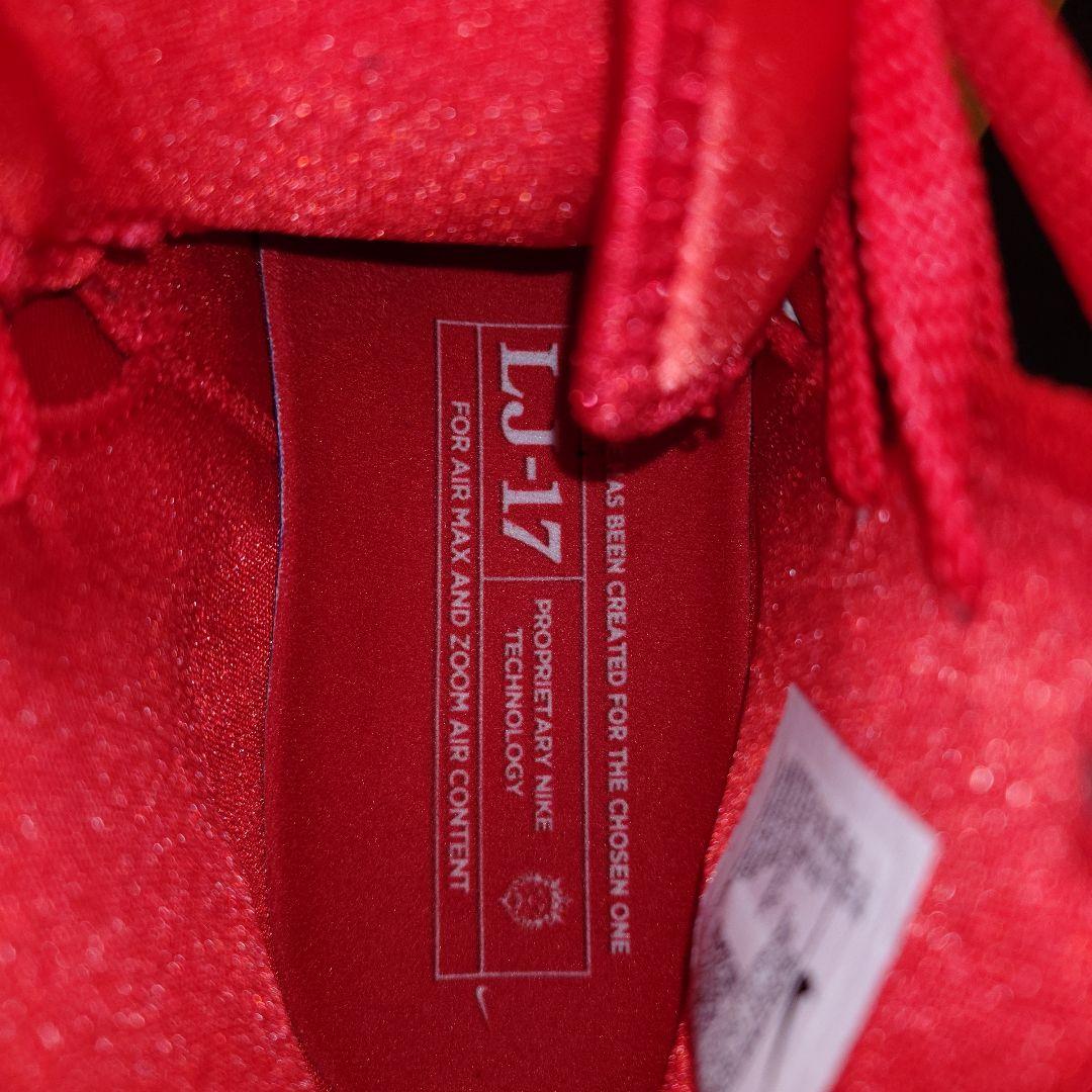レブロン 17 Lebron ナイキ スニーカー